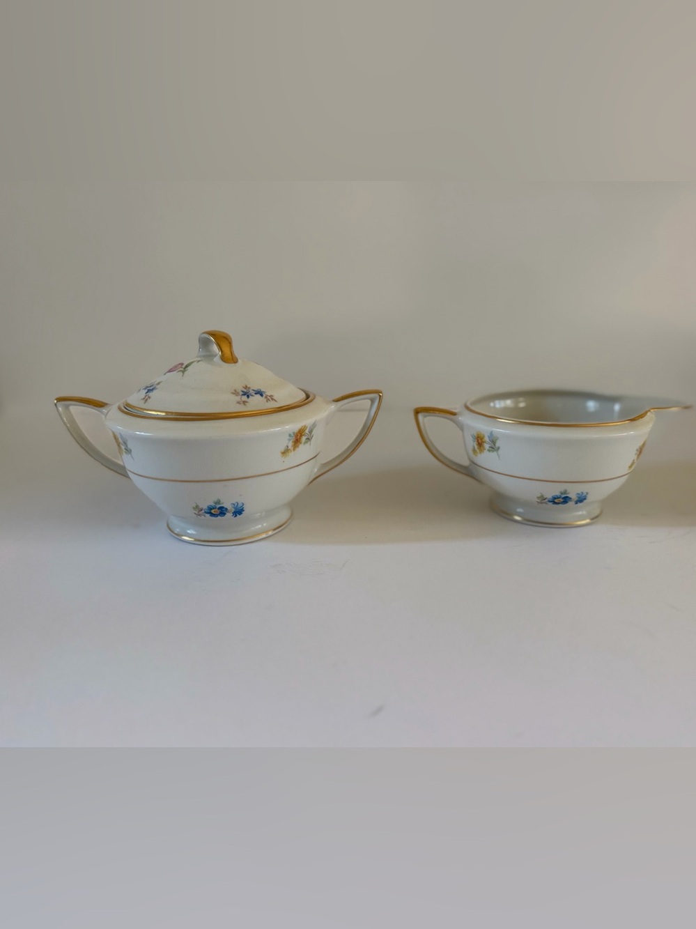 Jackson Featherweight China Floral Creamer & Lidded Sugar Bowl Set Vintage